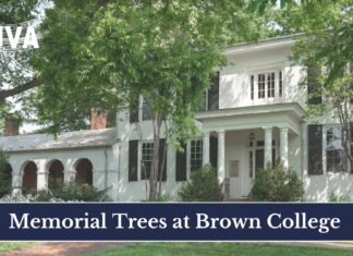 Memorial trees at Brown College